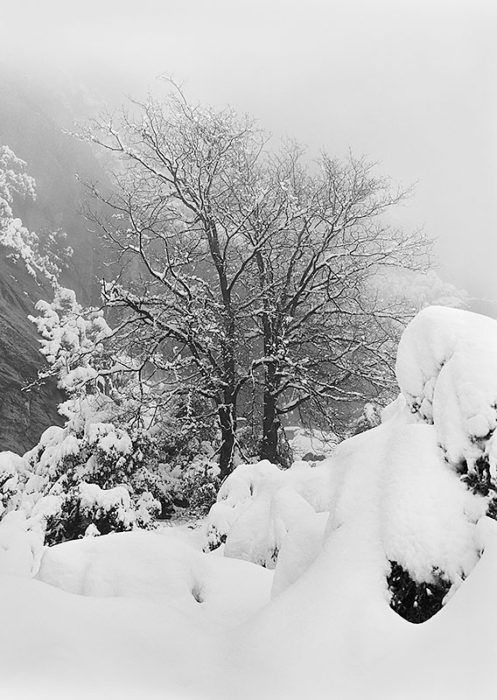 YosemiteTrail©Mark Yamamoto 1980