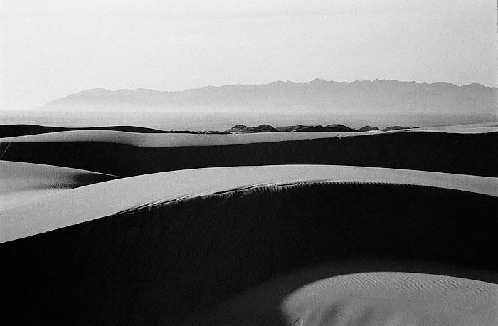 oceanodunes5