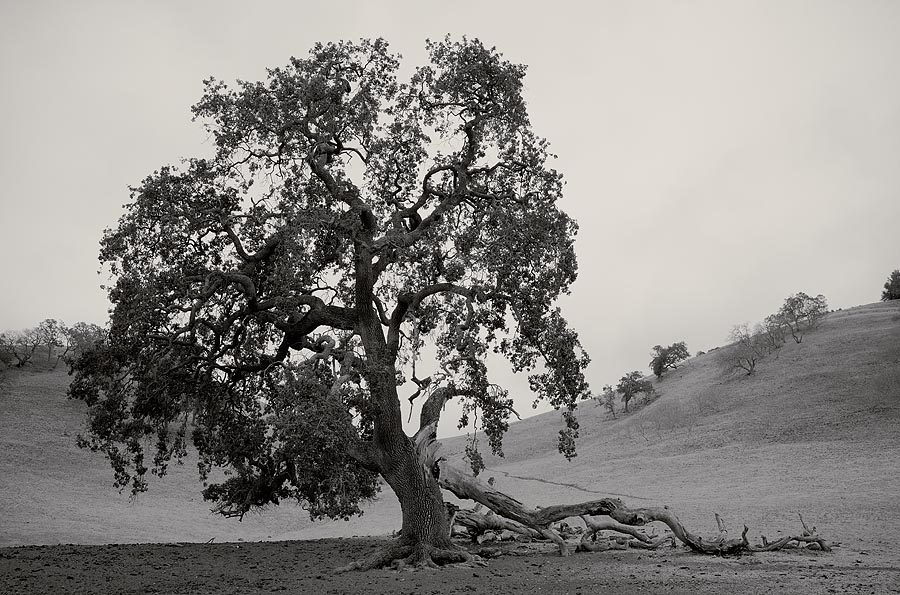 Hiking Photography Gear