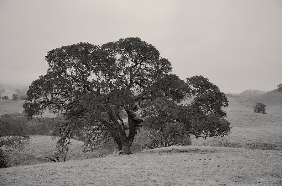 B&W Landscape Photography Tips