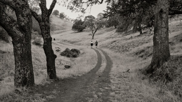 Ultimate image with Leica M10 Monochrom