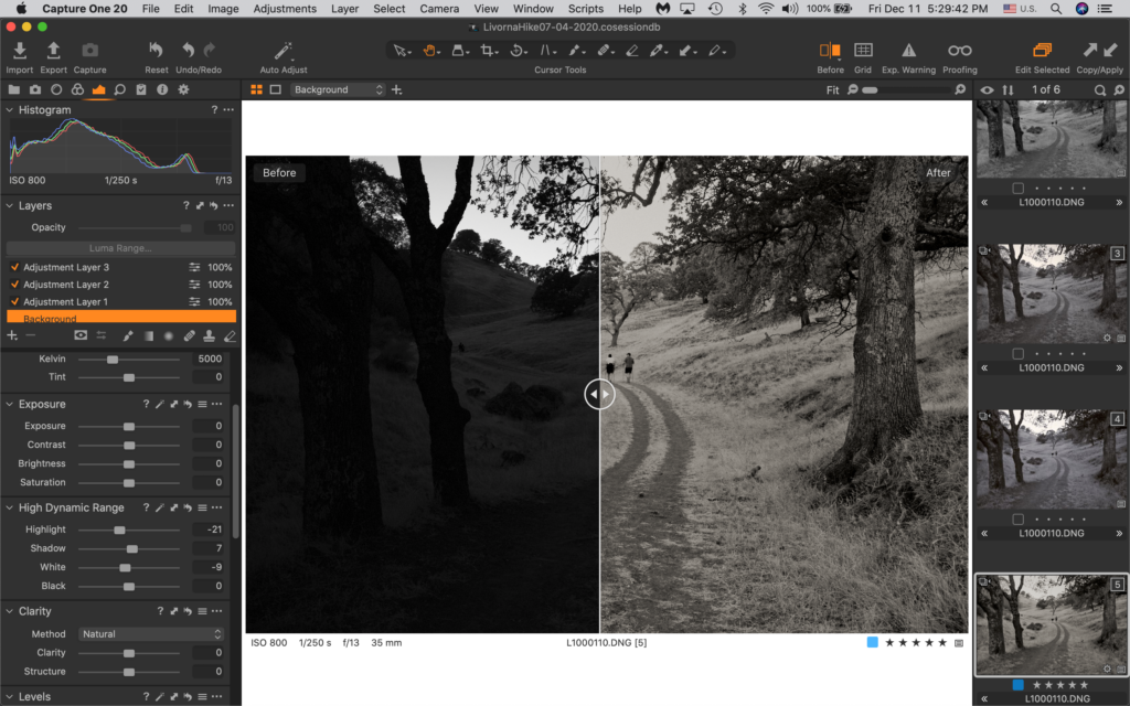 Ultimate image with Leica M10 Monochrom and Capture One Pro
