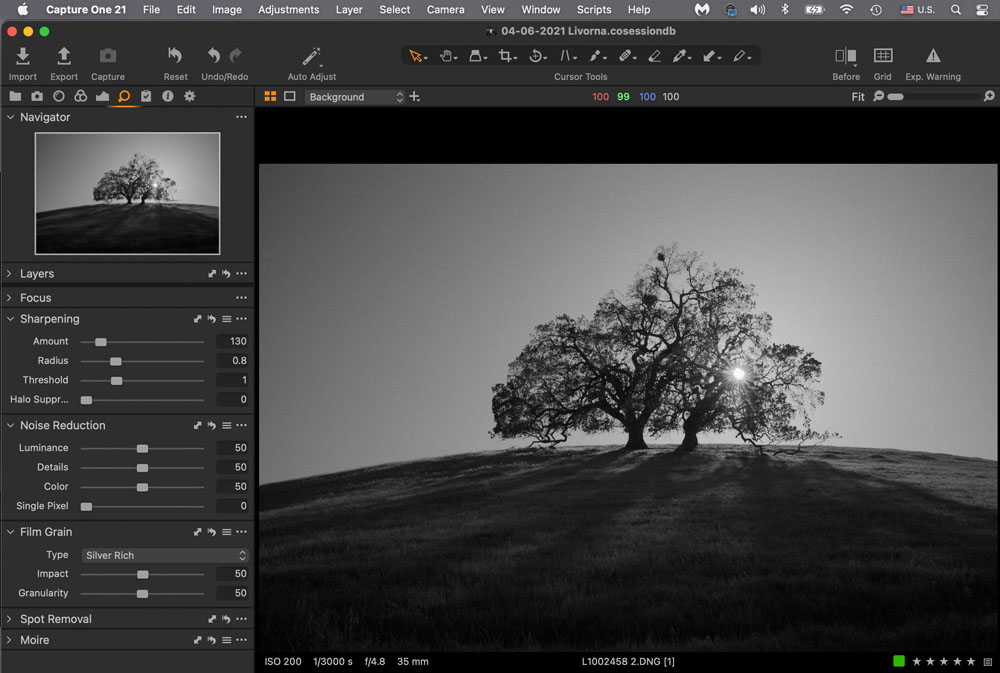 Grain in Capture One Pro
