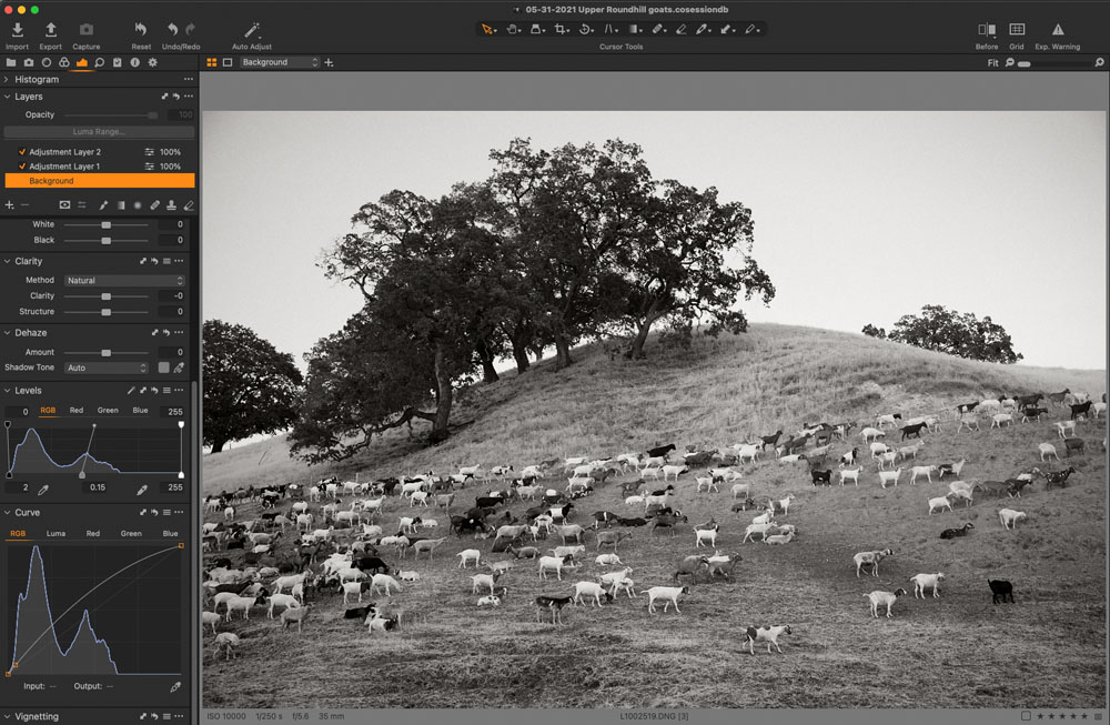 Professional insight for Processing a challenging digital image.