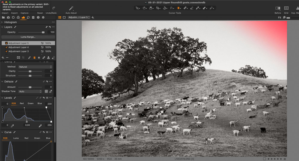 Processing a challenging digital image.