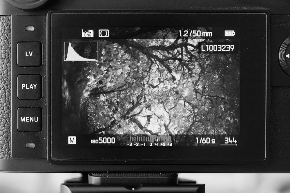 IR Landscape Photography Histogram
