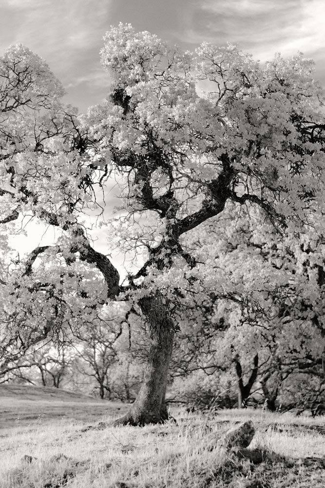Leica M10 Monochrom R72 filter