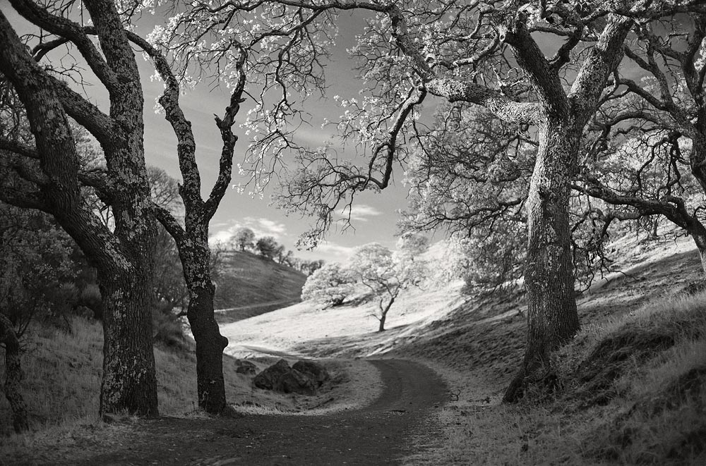 IR Landscape Photography