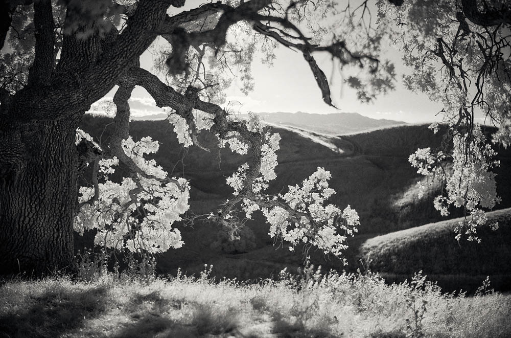 Infrared Landscape Photography Leica M10 M