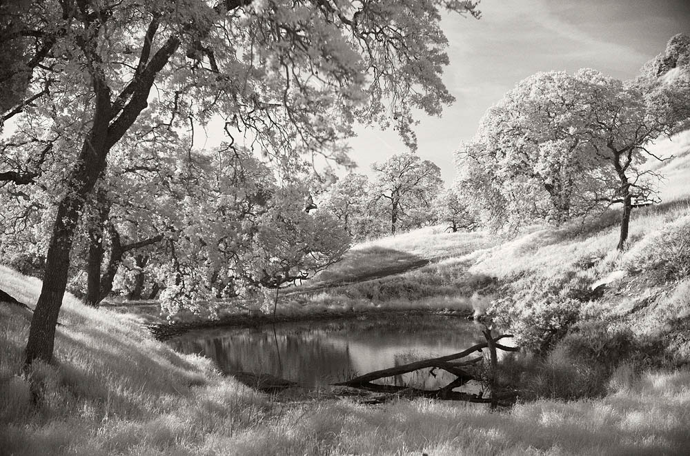 Leica M10 Monochrom R72 infrared filter