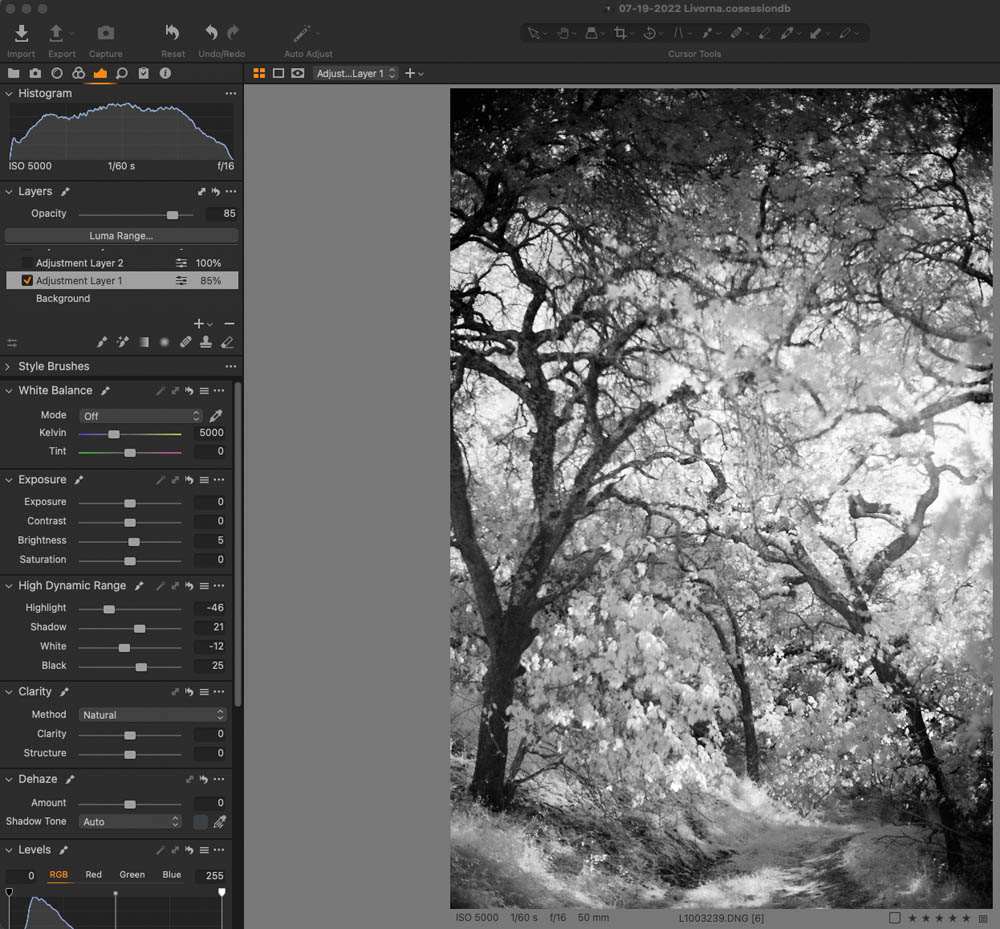 Infrared Landscape Photography Capture One Pro 6