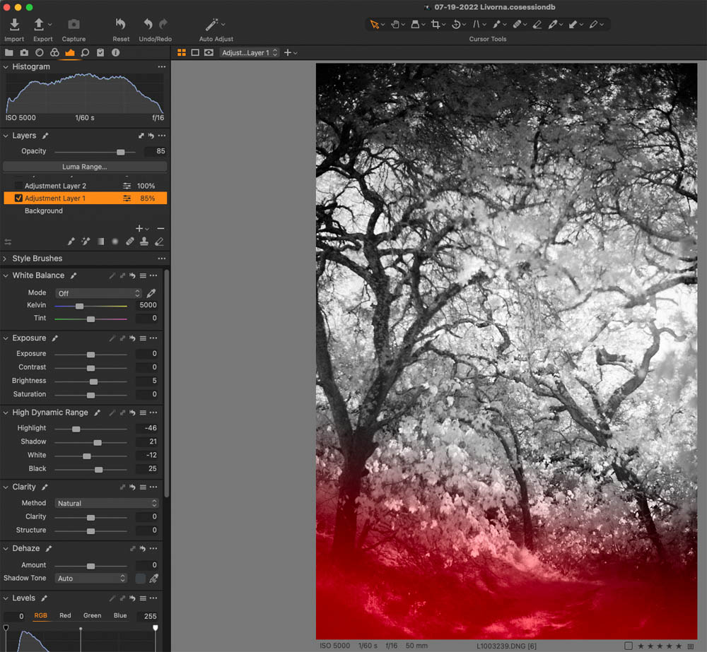 Infrared Landscape Photography Capture One Pro 4