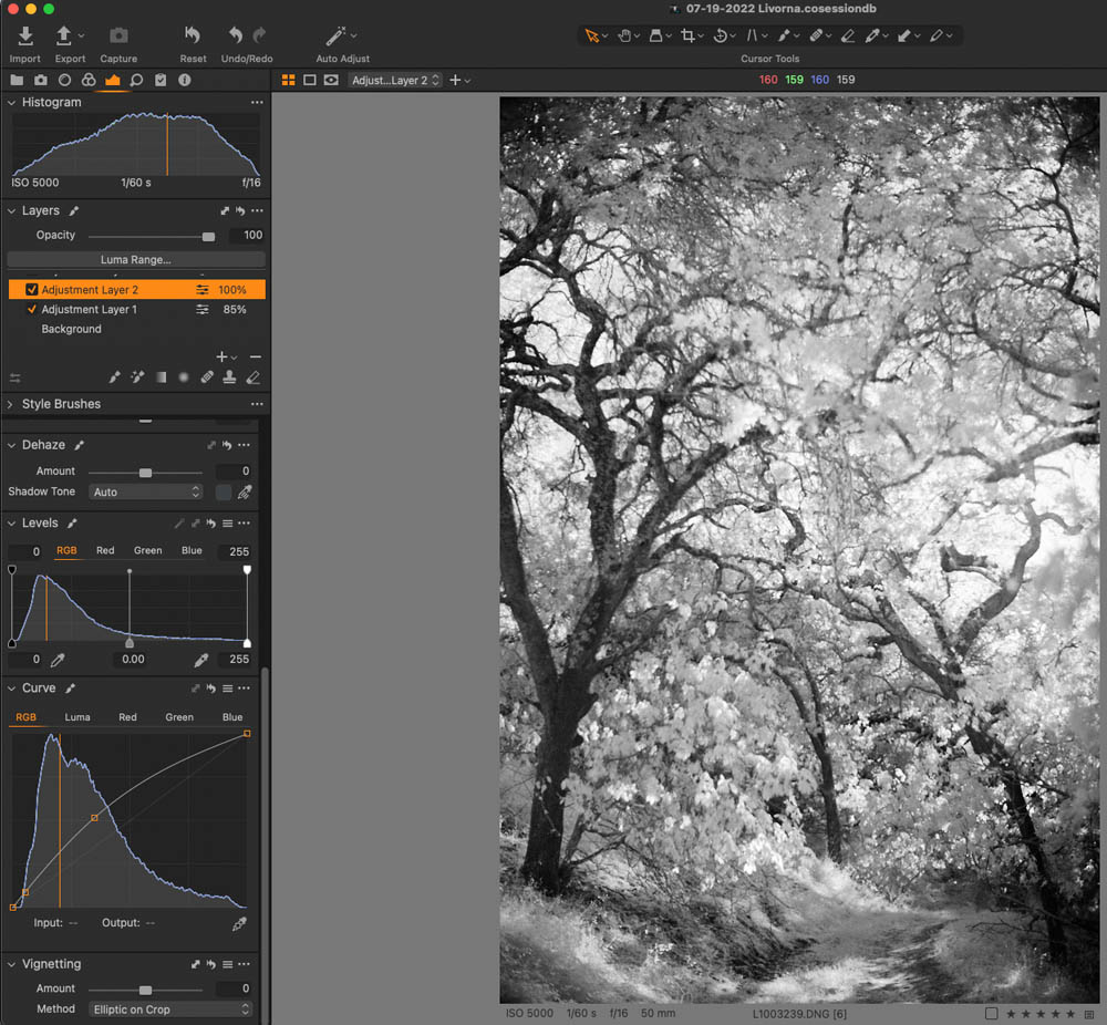 Infrared Landscape Photography Capture One Pro 8