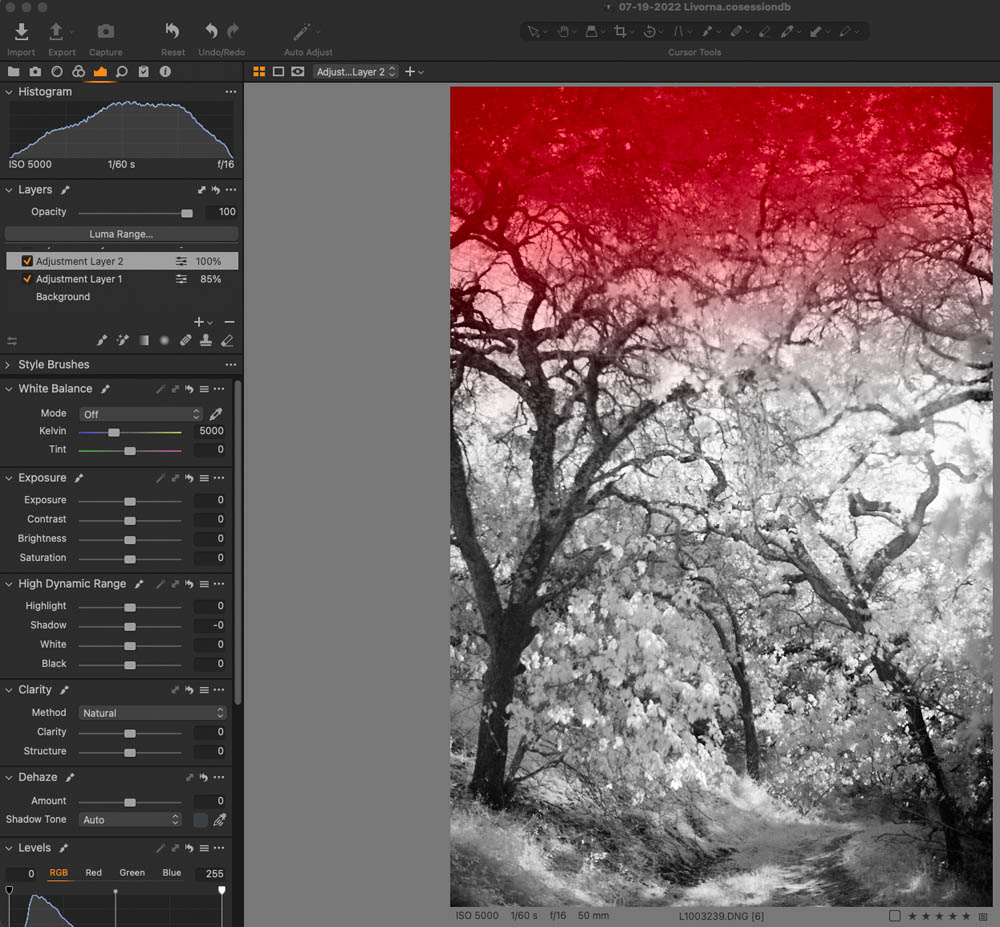 Infrared Landscape Photography Capture One Pro 7