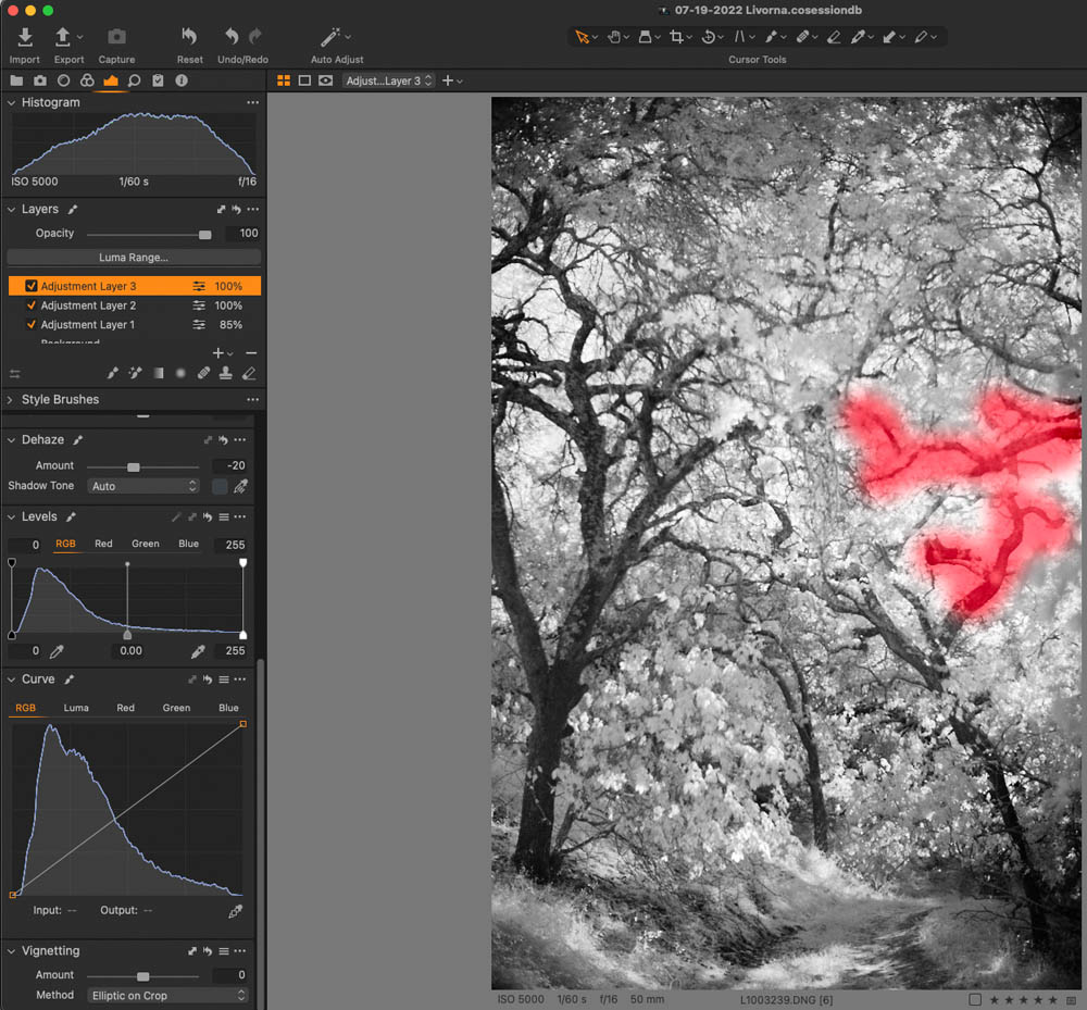 Infrared Landscape Photography Capture One Pro 9