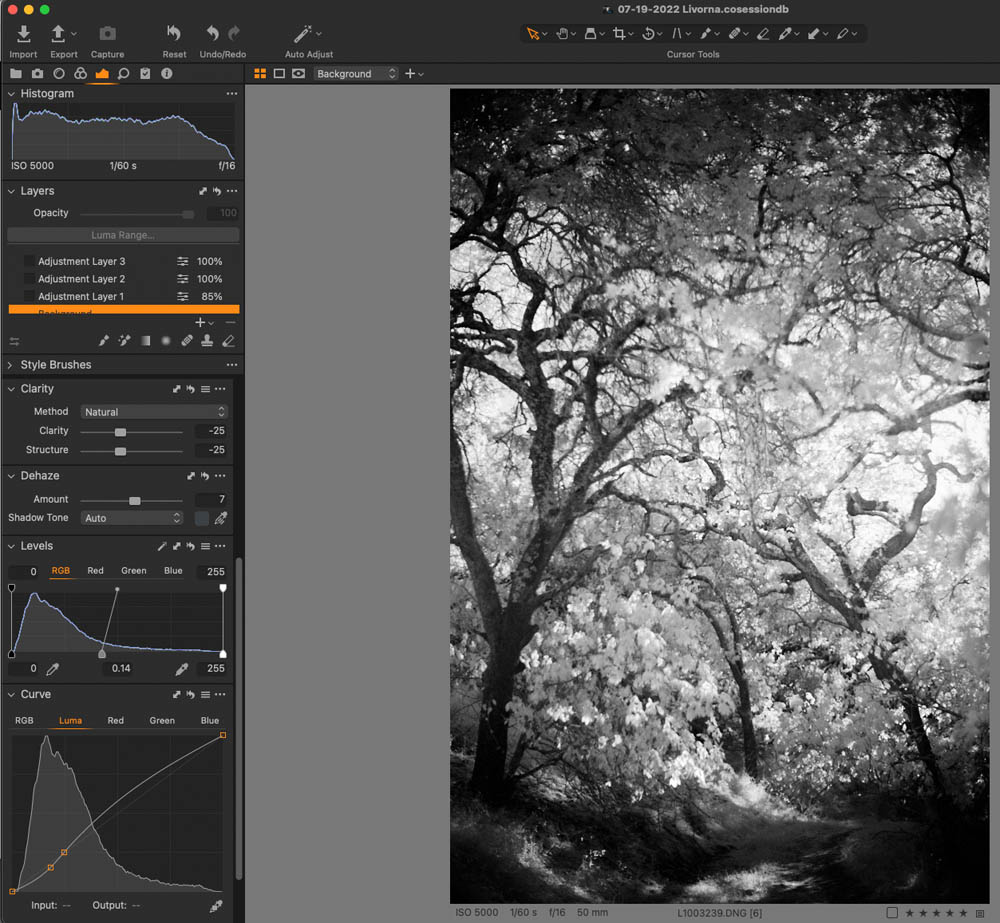 Infrared Landscape Photography Capture One Pro 2