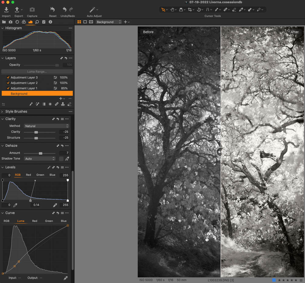 Infrared Landscape Photography Capture One Pro 12