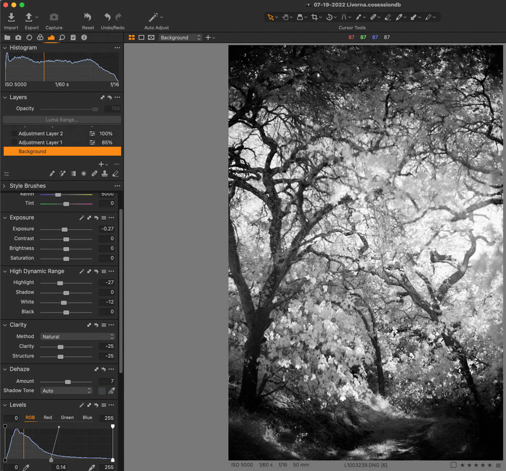 Infrared Landscape Photography Capture One Pro 3