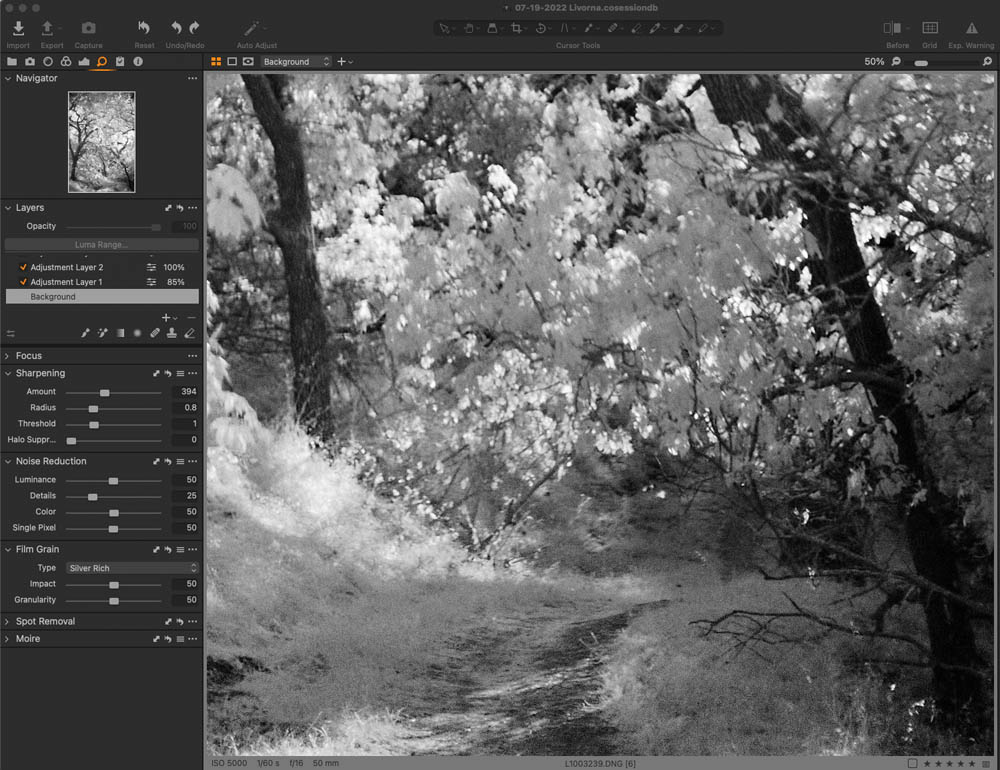 Infrared Landscape Photography Capture One Pro 10
