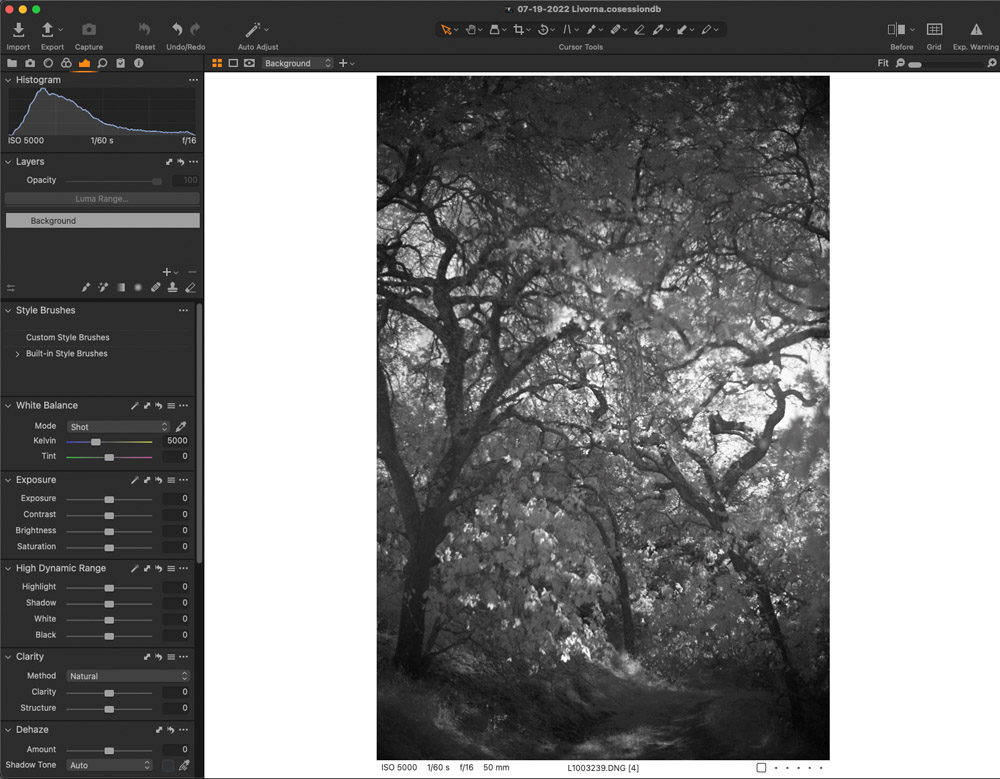 Infrared Landscape Photography Capture One Pro 1
