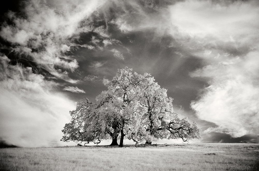 infrared landscape photography Gitzo Arca-Swiss