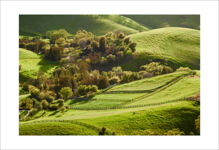 Spring View from Emmons Canyon Landscape