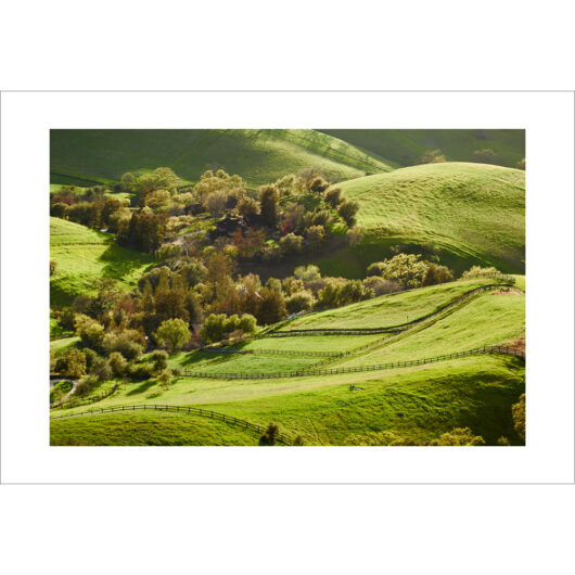 Spring View from Emmons Canyon Landscape